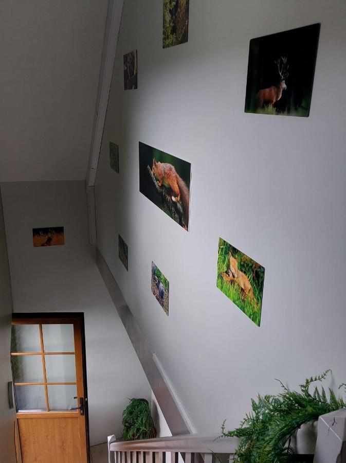 O Baguenaudes Lägenhet Jalhay Exteriör bild